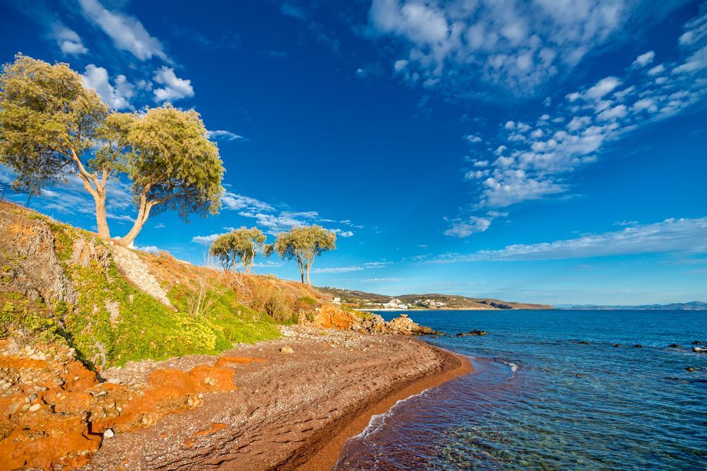Pelagia Aphrodite Hotel Agia Pelagia  エクステリア 写真